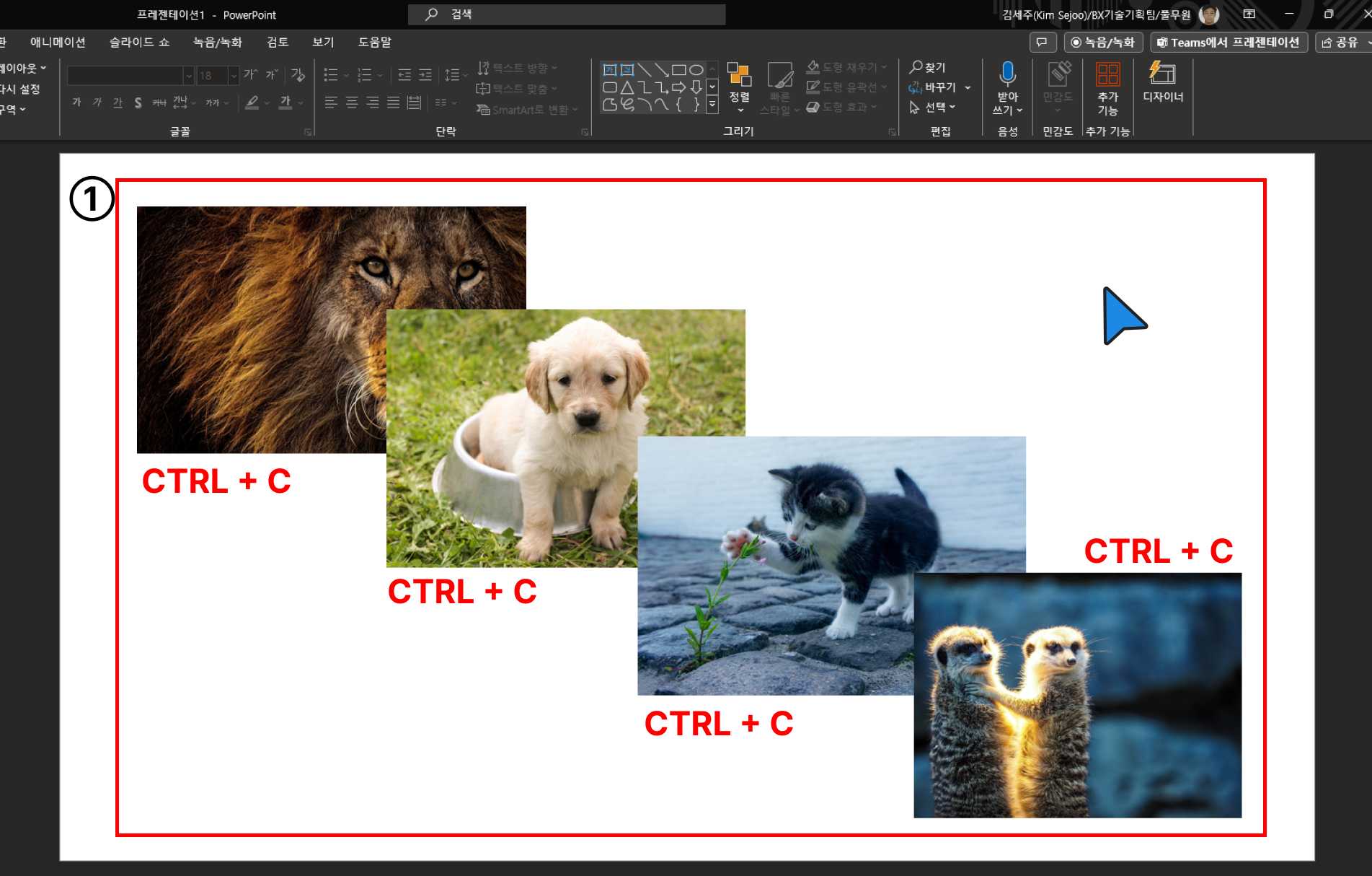 PPT 이미지준비