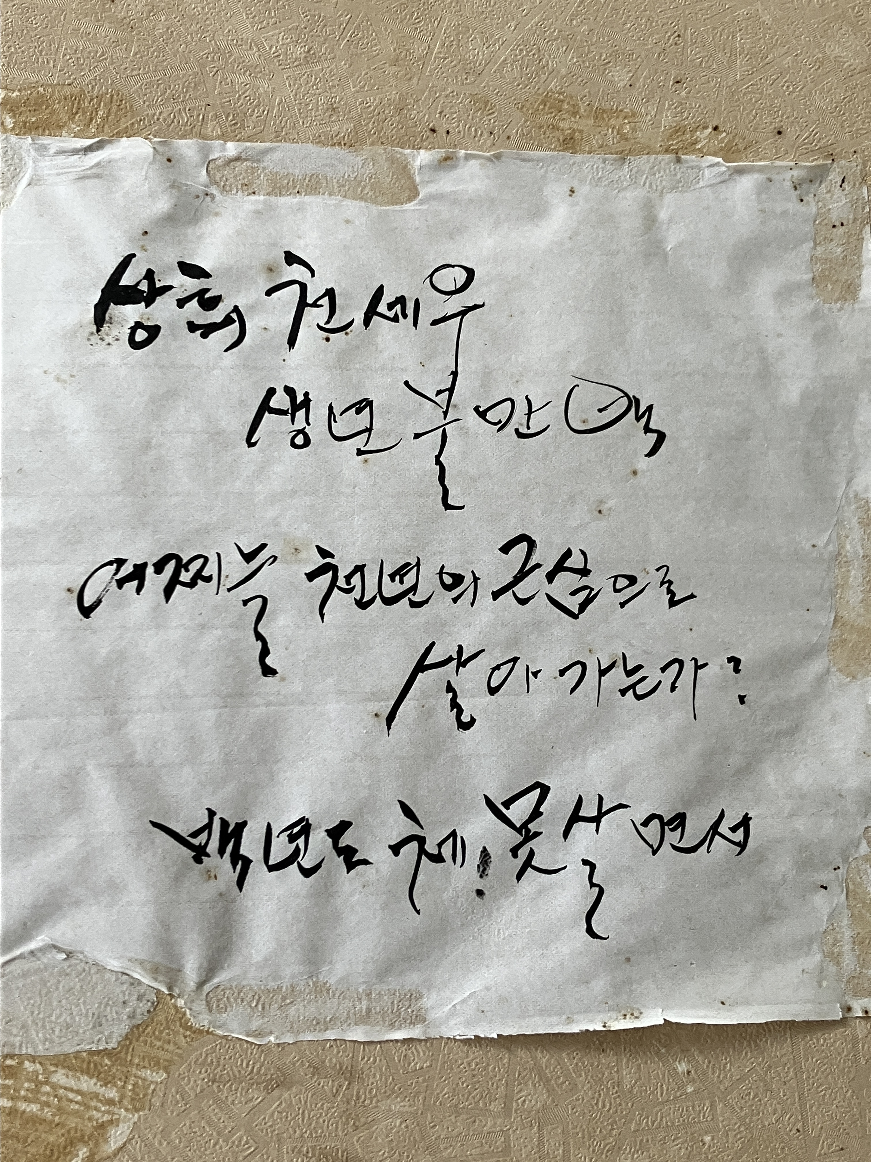 여수여행 나진국밥