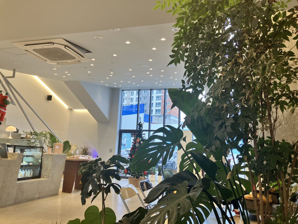 춘천 카페 춘천로81 내관