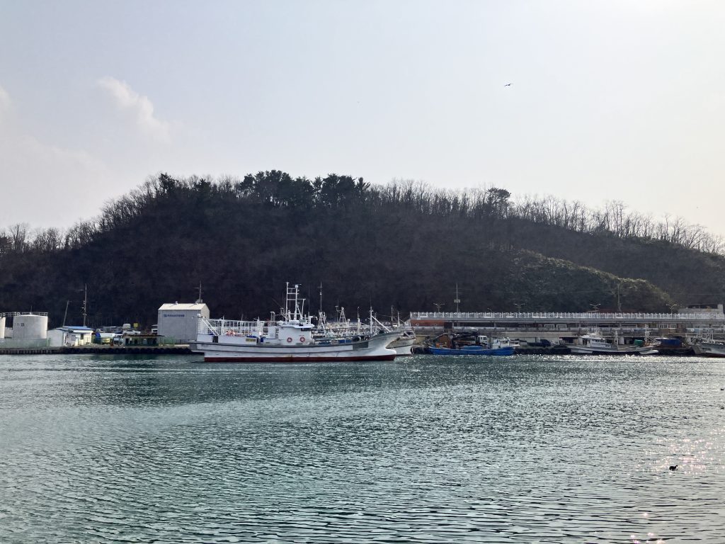 영덕여행 강구항
