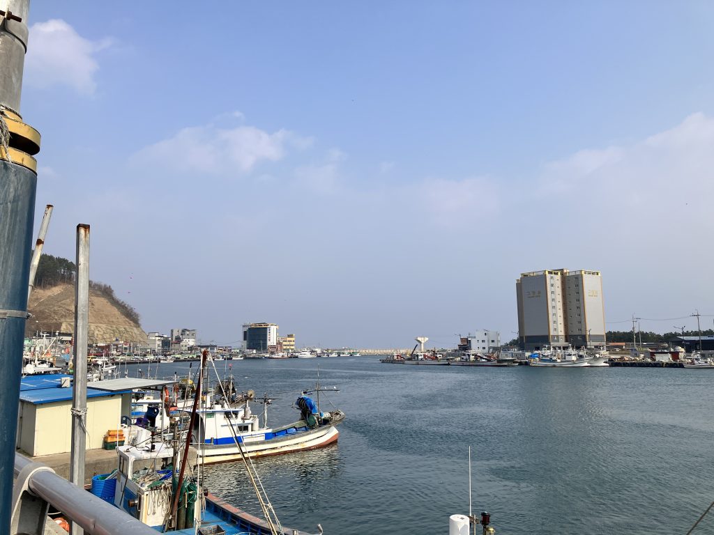 영덕여행 강구항
