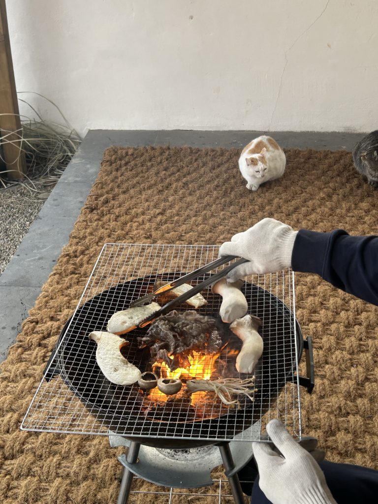 스테이 안시 고양이