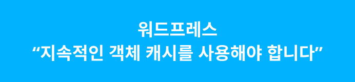 지속적인 객체 캐시