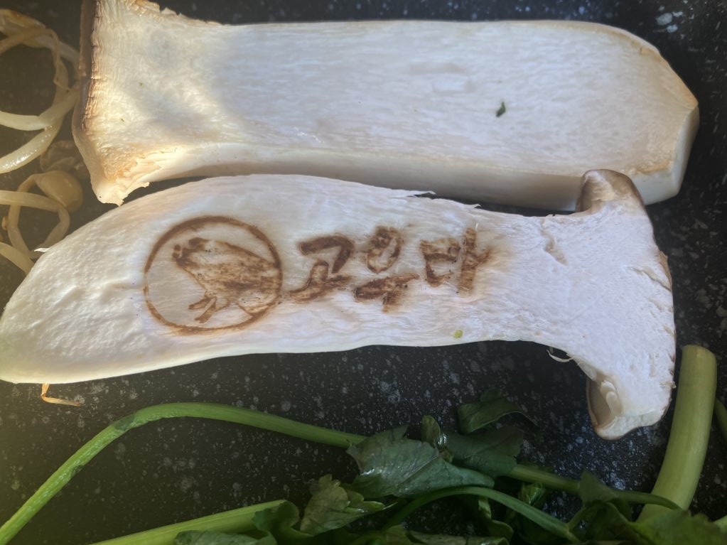 가평 고우다 버섯